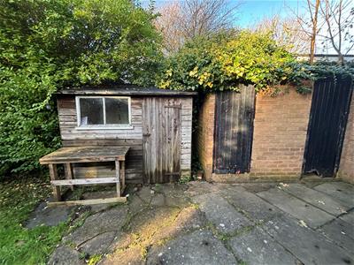 Picture 21
